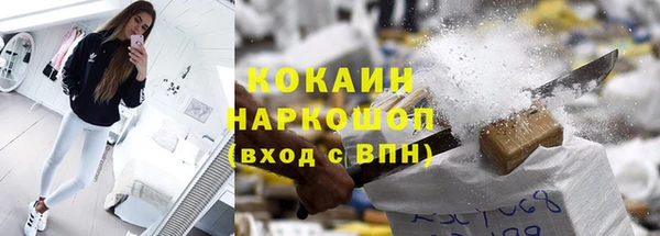 хмурый Гусев
