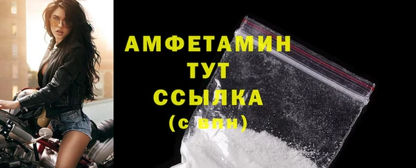 прущий лед Дмитриев