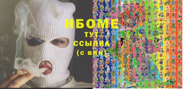 хмурый Гусев