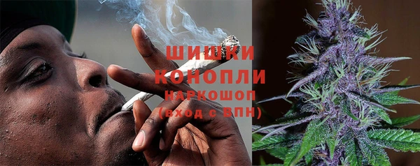 прущий лед Дмитриев