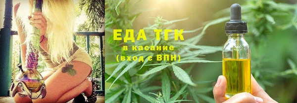 прущий лед Дмитриев