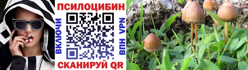 Псилоцибиновые грибы MAGIC MUSHROOMS  Купить  Дорогобуж 